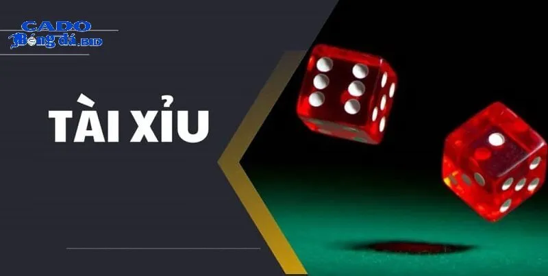Lý do Tài xỉu uy tín trở thành xu hướng hàng đầu trong giới cược thủ