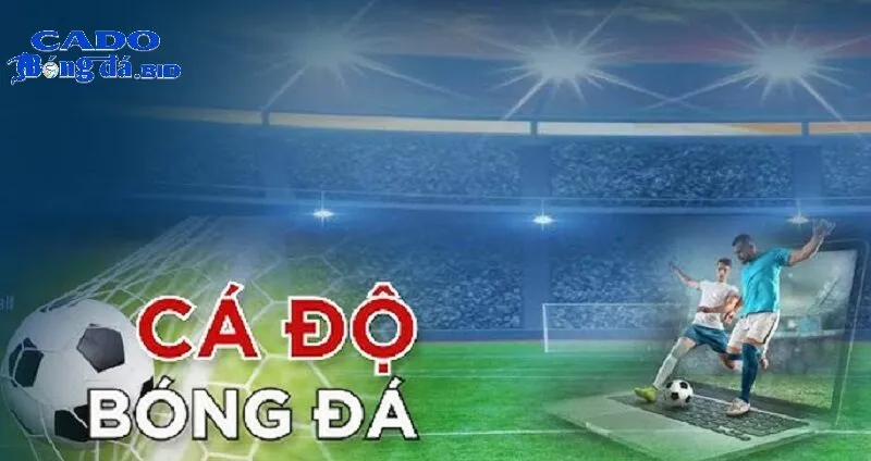 Hướng dẫn tham gia chơi tại cổng game cá độ bóng đá